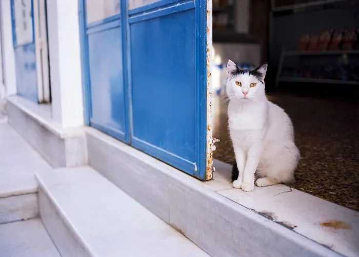 Elegant Santorini Superior One Bedroom With Outdoor Hot Tub Villa Oia